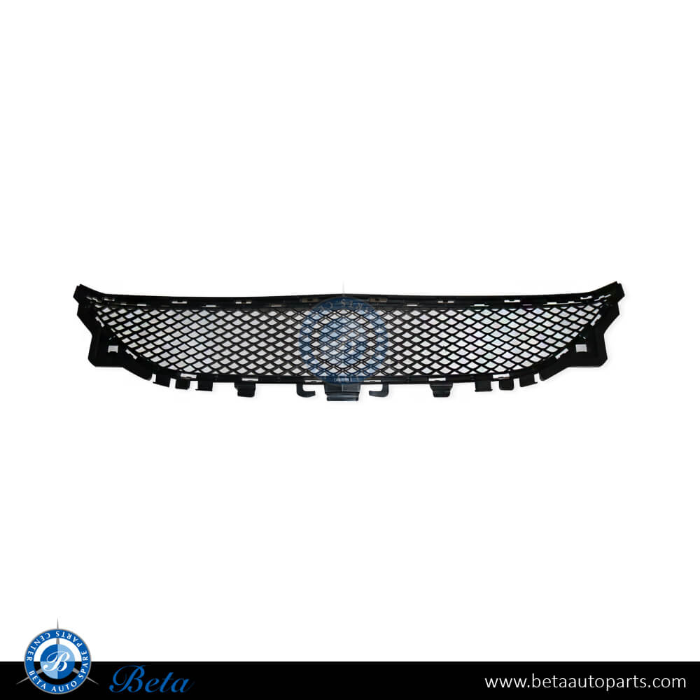 Front Bumper Lower Grille Normal AMG for Mercedes E-Class Coupe C207 2014-2016 models, Part Number 2078850224 Front Bumper Lower Grille Normal AMG for Mercedes E-Class Coupe C207 2014-2016 models, Part Number 2078850224